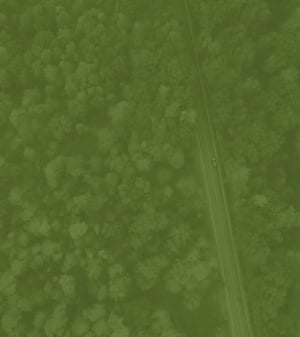 Car driving through forest road